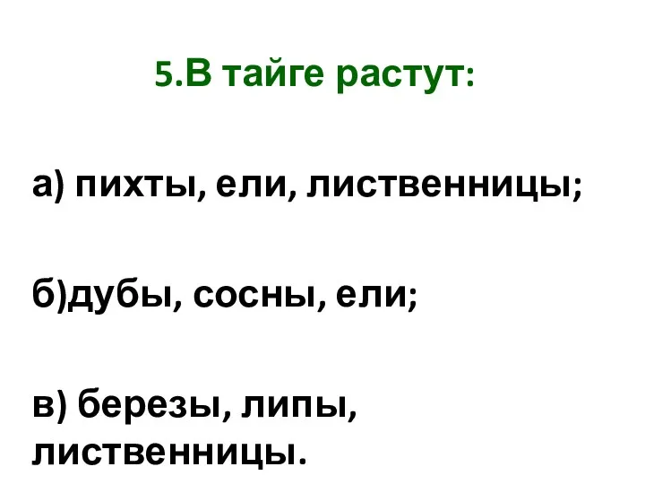 5.В тайге растут: а) пихты, ели, лиственницы; б)дубы, сосны, ели; в) березы, липы, лиственницы.