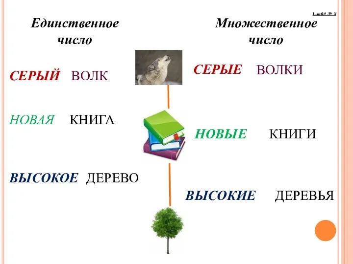 ВОЛКИ СЕРЫЙ ВОЛК НОВАЯ КНИГА ВЫСОКОЕ ДЕРЕВО КНИГИ ДЕРЕВЬЯ СЕРЫЕ