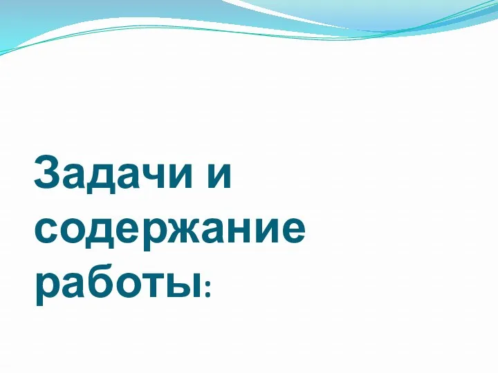 Задачи и содержание работы: