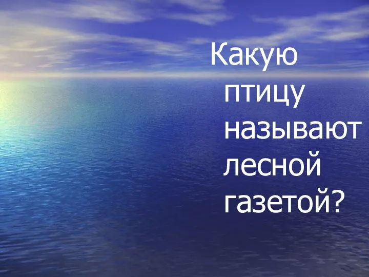 Сорока Какую птицу называют лесной газетой?