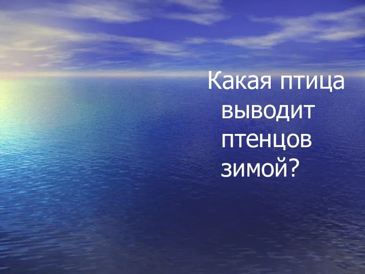 Клест Какая птица выводит птенцов зимой?