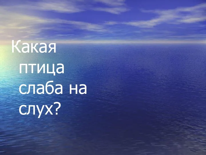 Какая птица слаба на слух? Глухарь