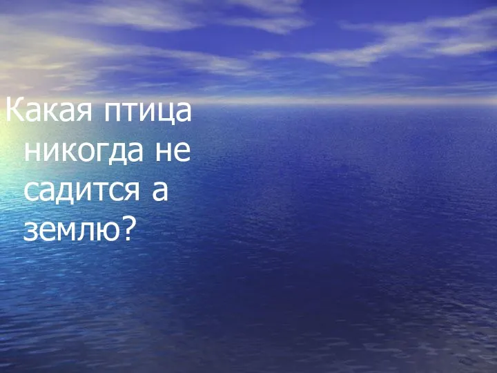 Какая птица никогда не садится а землю? Стриж