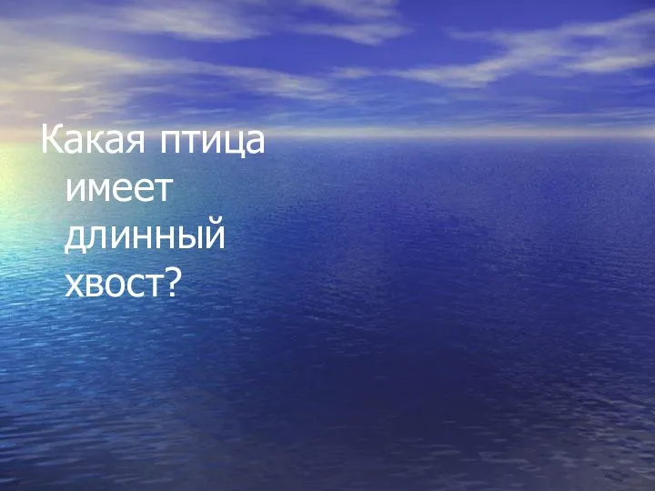 Какая птица имеет длинный хвост? Сорока