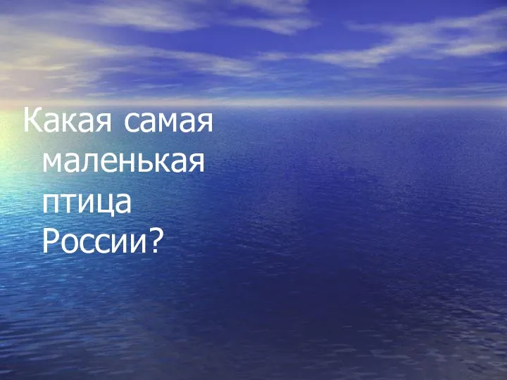 Какая самая маленькая птица России? Королек