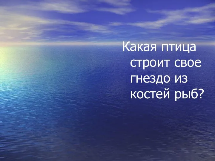 Зимородок Какая птица строит свое гнездо из костей рыб?