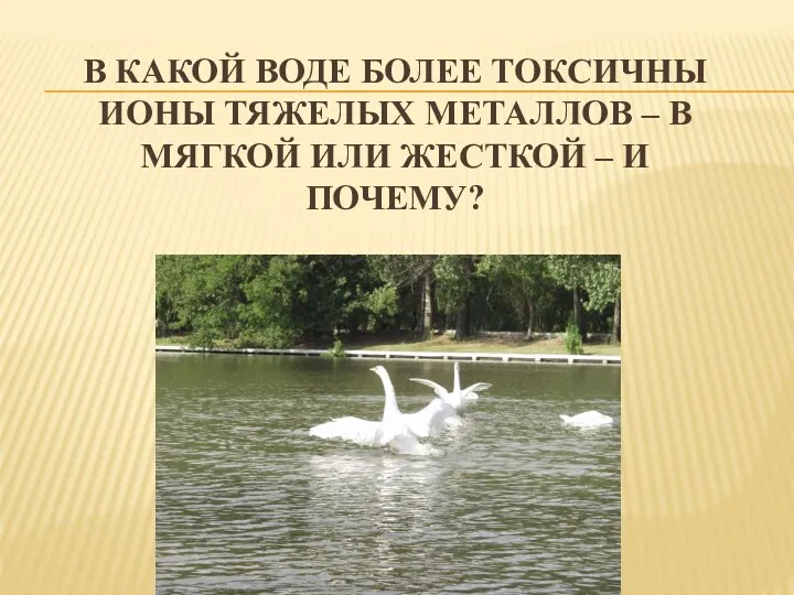 В какой воде более токсичны ионы тяжелых металлов – в мягкой или жесткой – и почему?