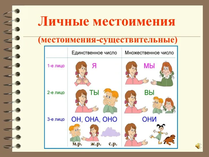 Личные местоимения (местоимения-существительные) м.р. ж.р. с.р.