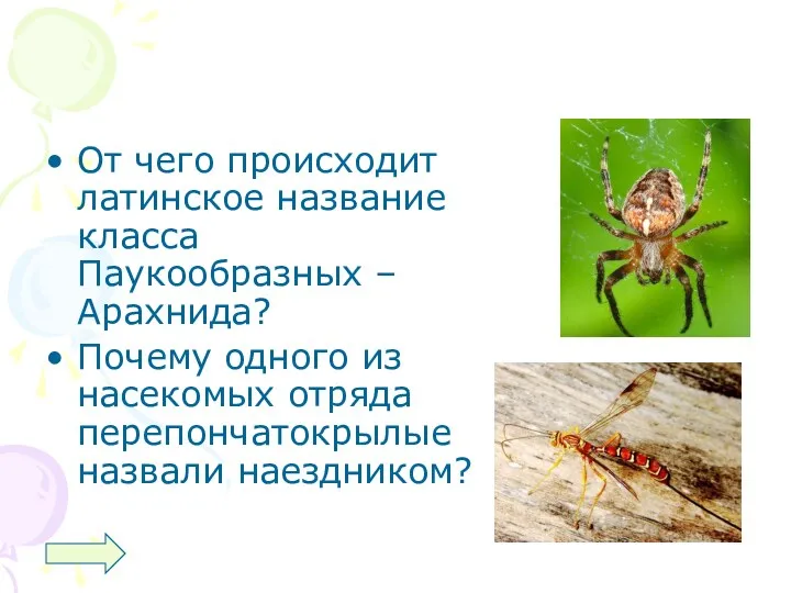 От чего происходит латинское название класса Паукообразных – Арахнида? Почему