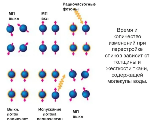 МП выкл МП вкл Радиочастотные фотоны Выкл. поток радиочастиц Испускание