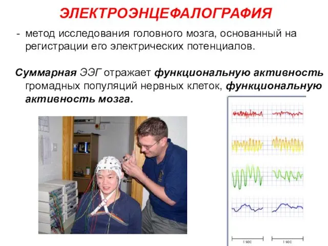 метод исследования головного мозга, основанный на регистрации его электрических потенциалов.