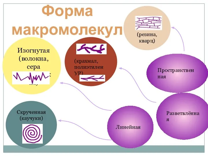 Линейная Разветвлённая Пространственная Изогнутая (волокна, сера пластическая) Скрученная (каучуки) (крахмал, полиэтилен УР) (резина, кварц) Форма макромолекул