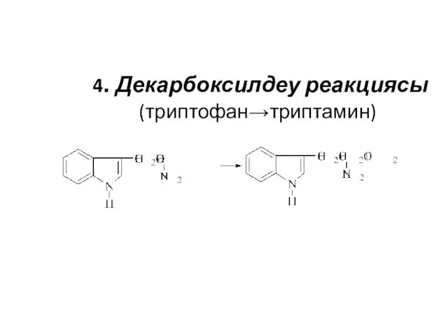 4. Декарбоксилдеу реакциясы (триптофан→триптамин)