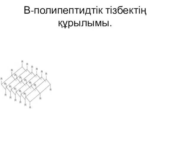 Β-полипептидтік тізбектің құрылымы.