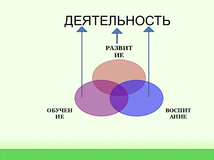 ДЕЯТЕЛЬНОСТЬ