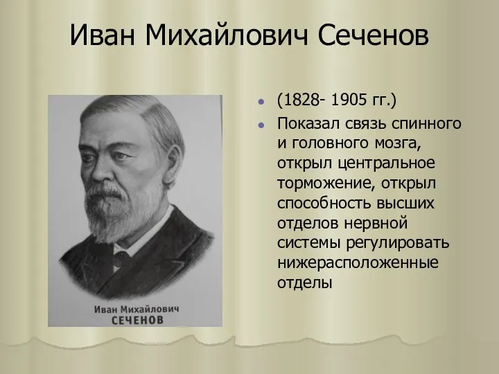 Иван Михайлович Сеченов (1828- 1905 гг.) Показал связь спинного и головного мозга, открыл