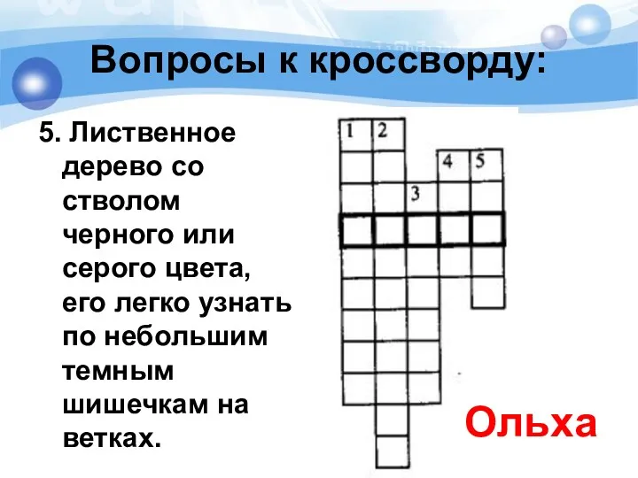 Вопросы к кроссворду: 5. Лиственное дерево со стволом черного или