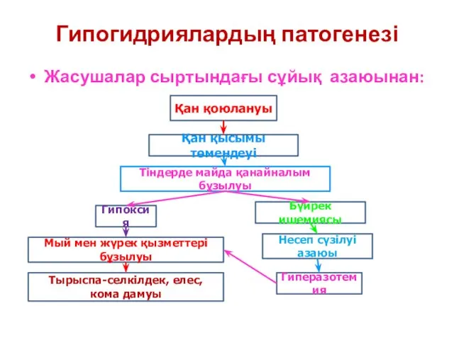 Гипогидриялардың патогенезі Жасушалар сыртындағы сұйық азаюынан: Қан қоюлануы Қан қысымы төмендеуі Тіндерде майда