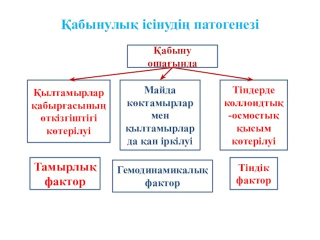 Қабынулық ісінудің патогенезі Қабыну ошағында Тіндерде коллоидтық-осмостық қысым көтерілуі Майда көктамырлар мен қылтамырларда