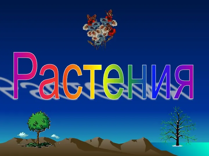 Растения