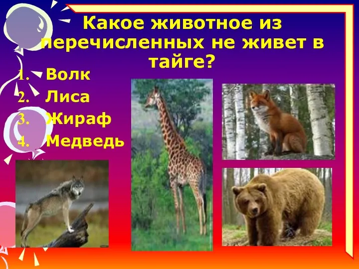 Какое животное из перечисленных не живет в тайге? Волк Лиса Жираф Медведь