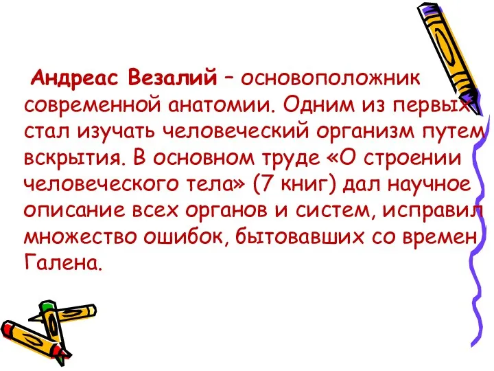 Андреас Везалий – основоположник современной анатомии. Одним из первых стал