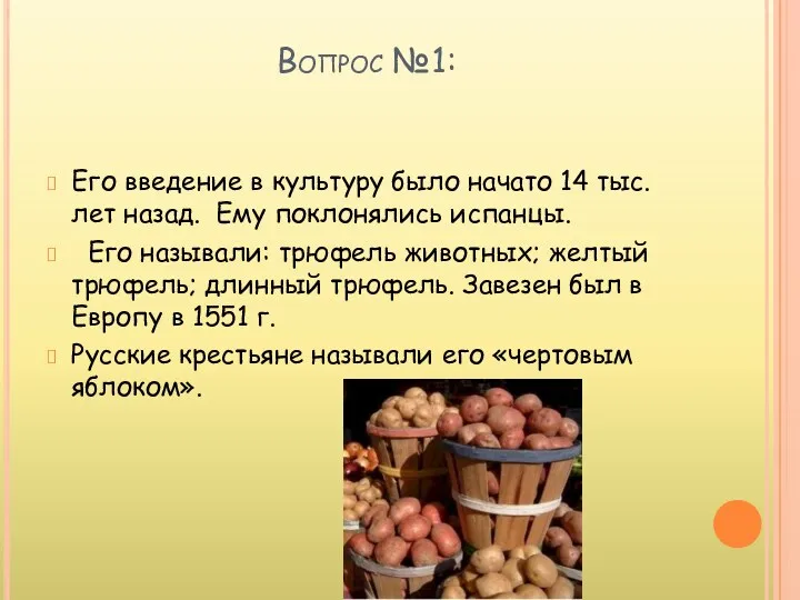 Вопрос №1: Его введение в культуру было начато 14 тыс.