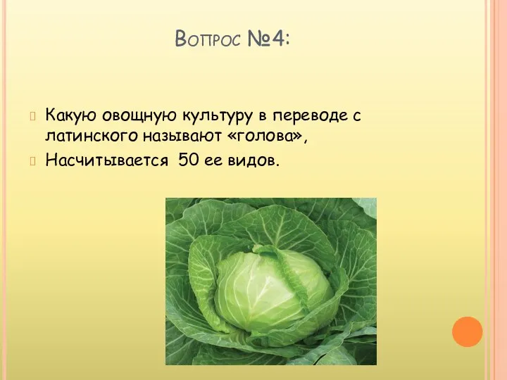 Вопрос №4: Какую овощную культуру в переводе с латинского называют «голова», Насчитывается 50 ее видов.