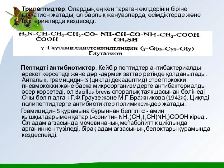 Трипептидтер. Олардың ең кең тараған өклдерінің біріне глутатион жатады, ол