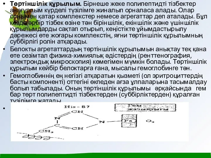 Төртіншілік құрылым. Бірнеше жеке полипептидті тізбектер анағұрлым күрделі түзілімге жиналып