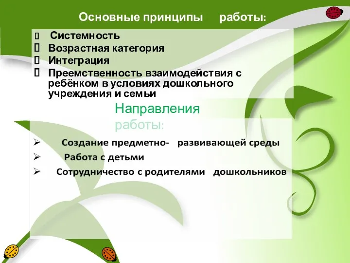 Основные принципы работы: Системность Возрастная категория Интеграция Преемственность взаимодействия с