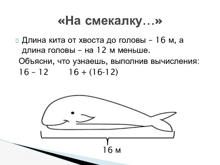 «На смекалку…» Длина кита от хвоста до головы – 16