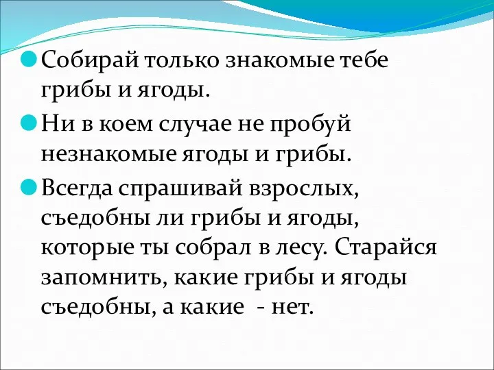 Собирай только знакомые тебе грибы и ягоды. Ни в коем