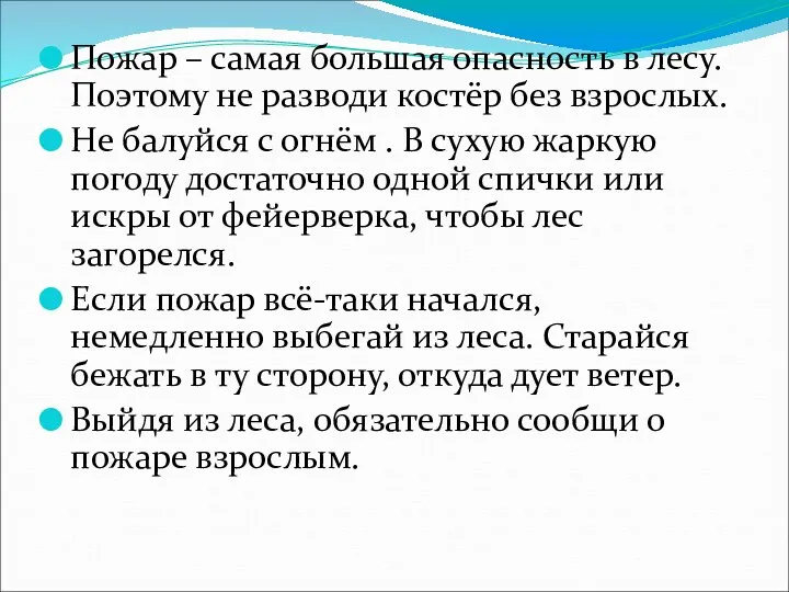 Пожар – самая большая опасность в лесу. Поэтому не разводи