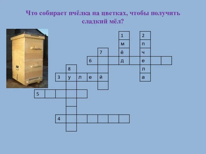 Что собирает пчёлка на цветках, чтобы получить сладкий мёл?