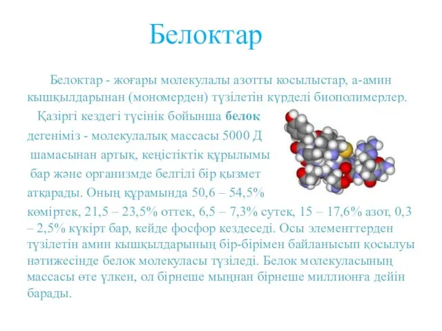 Белоктар Белоктар - жоғары молекулалы азотты косылыстар, а-амин кышқылдарынан (мономерден)