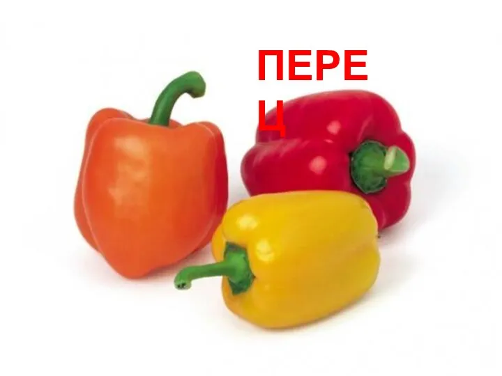 ПЕРЕЦ