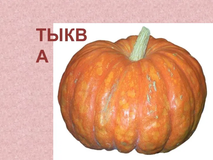 ТЫКВА