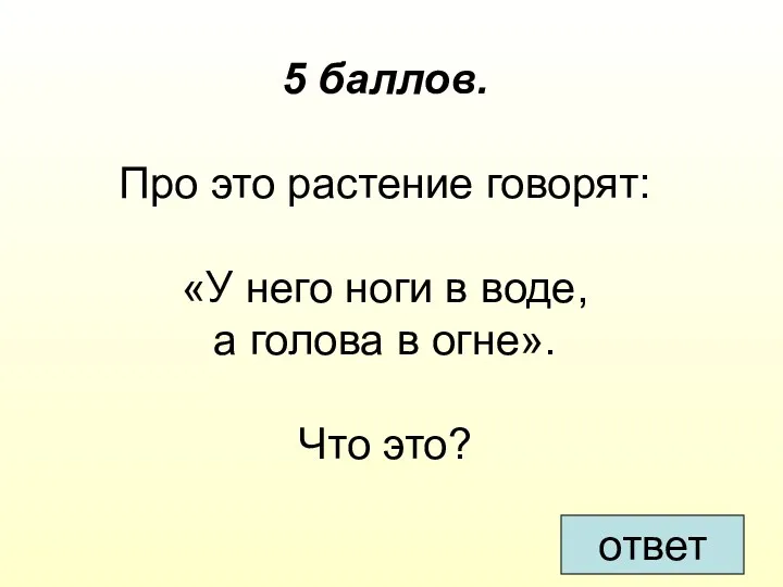 5 баллов. Про это растение говорят: «У него ноги в