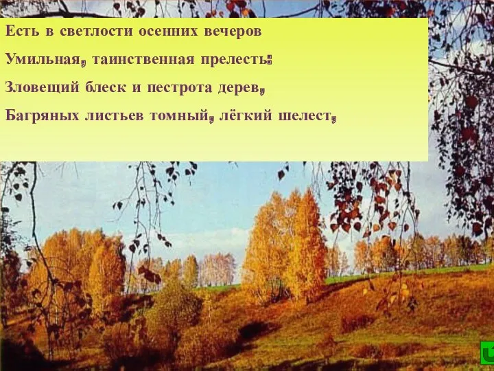 Есть в светлости осенних вечеров Умильная, таинственная прелесть: Зловещий блеск