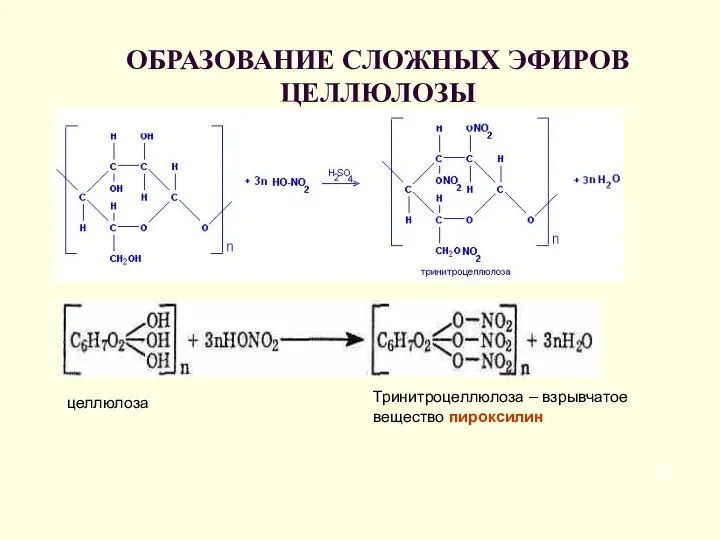 ОБРАЗОВАНИЕ СЛОЖНЫХ ЭФИРОВ ЦЕЛЛЮЛОЗЫ Тринитроцеллюлоза – взрывчатое вещество пироксилин целлюлоза