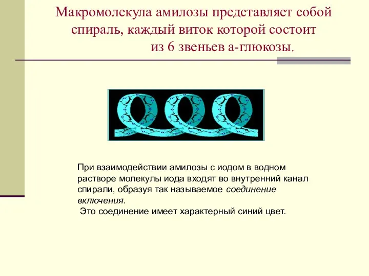 Макромолекула амилозы представляет собой спираль, каждый виток которой состоит из