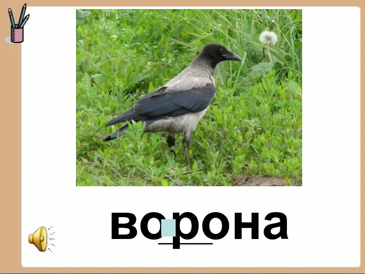 ворона