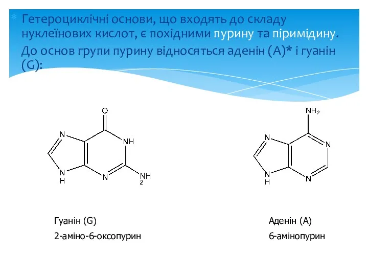Гетероциклічні основи, що входять до складу нуклеїнових кислот, є похідними