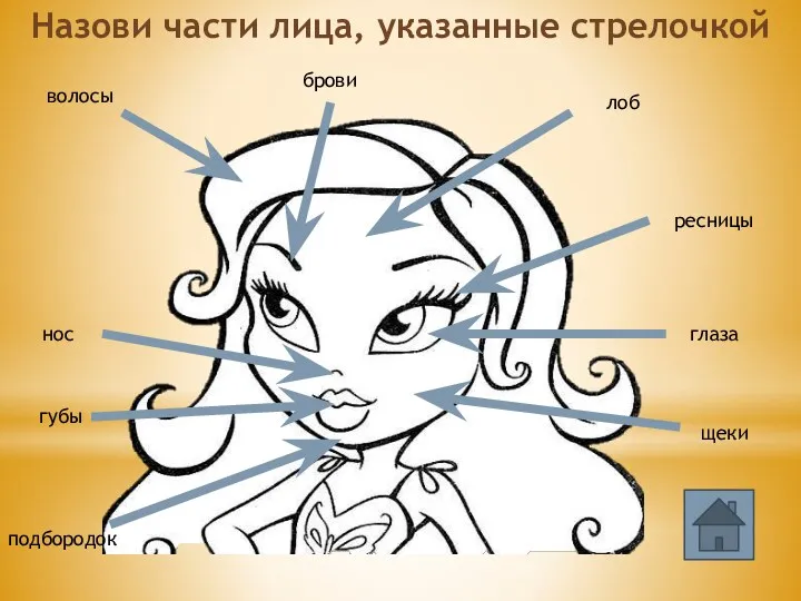 волосы глаза ресницы брови губы лоб Назови части лица, указанные стрелочкой нос подбородок щеки