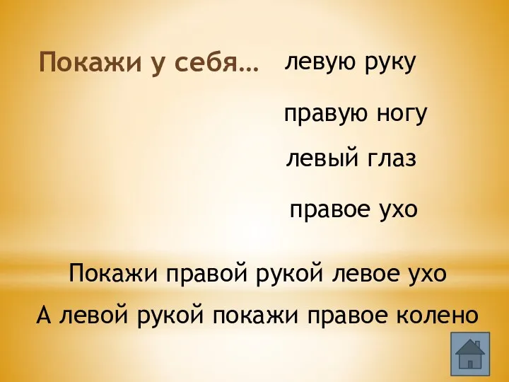 Покажи у себя… правую ногу левый глаз правое ухо Покажи