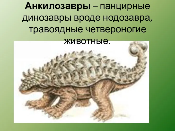 Анкилозавры – панцирные динозавры вроде нодозавра, травоядные четвероногие животные.