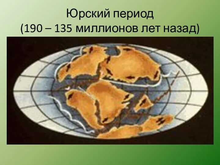 Юрский период (190 – 135 миллионов лет назад)