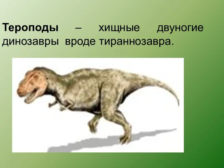 Тероподы – хищные двуногие динозавры вроде тираннозавра.
