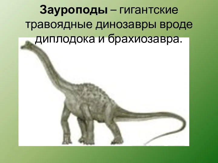 Зауроподы – гигантские травоядные динозавры вроде диплодока и брахиозавра.